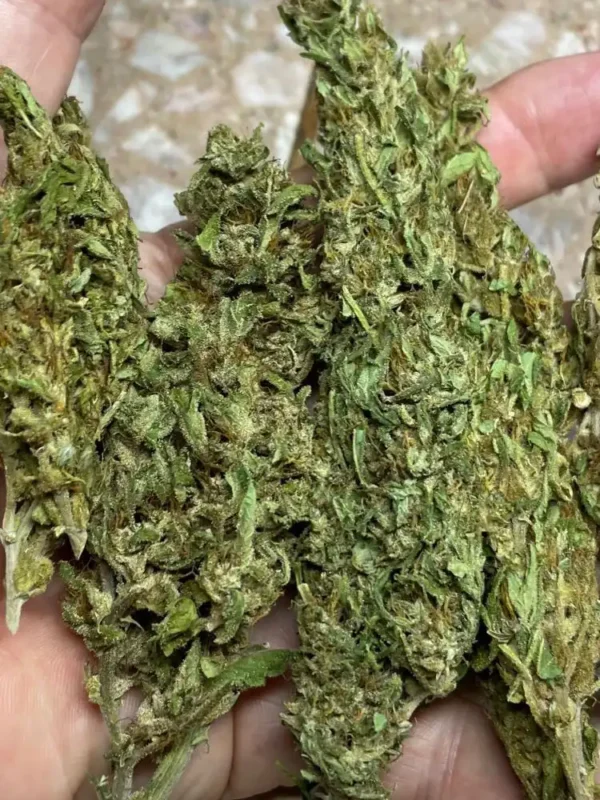 Thunder-dog-thai-dry